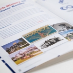 Free Nags Head Hammocks Catalog